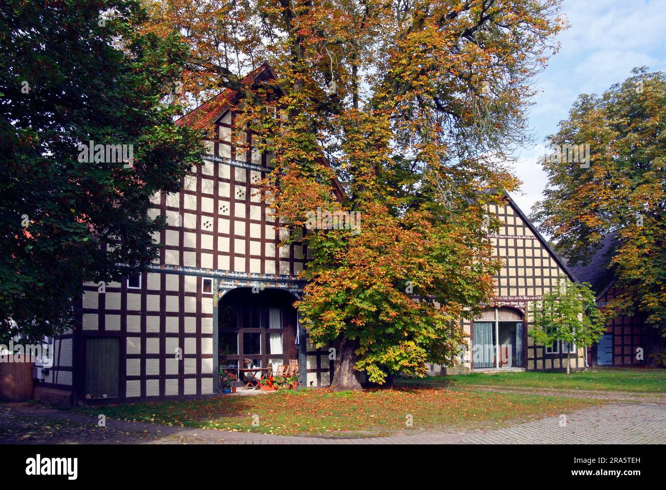 Half-timbered house, Wendland, Rundlingsdorf Satemin, Luechow-Dannenberg, Lower Saxony, Germany Stock Photo