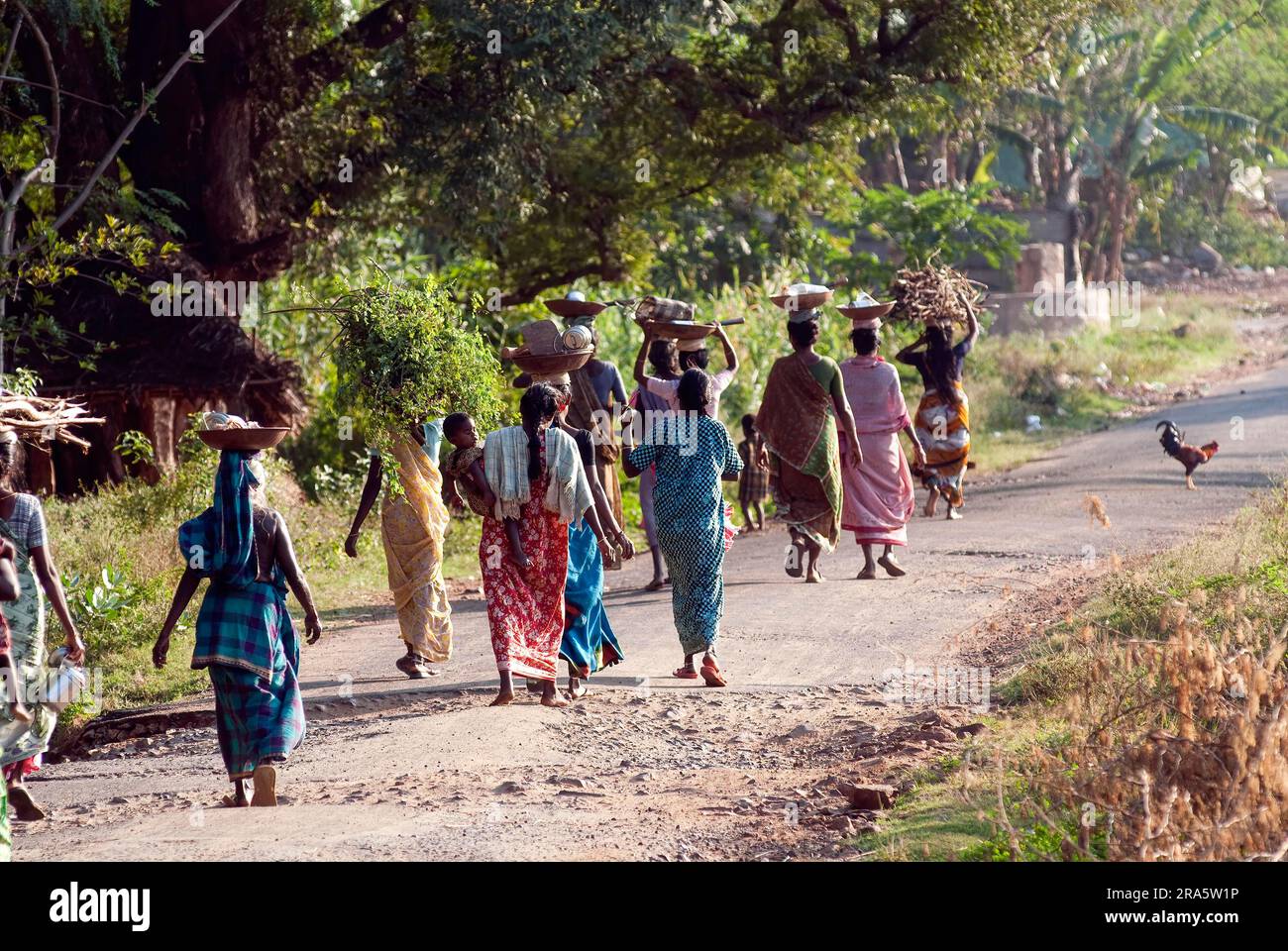 Tamil village women hi-res stock photography and images - Alamy