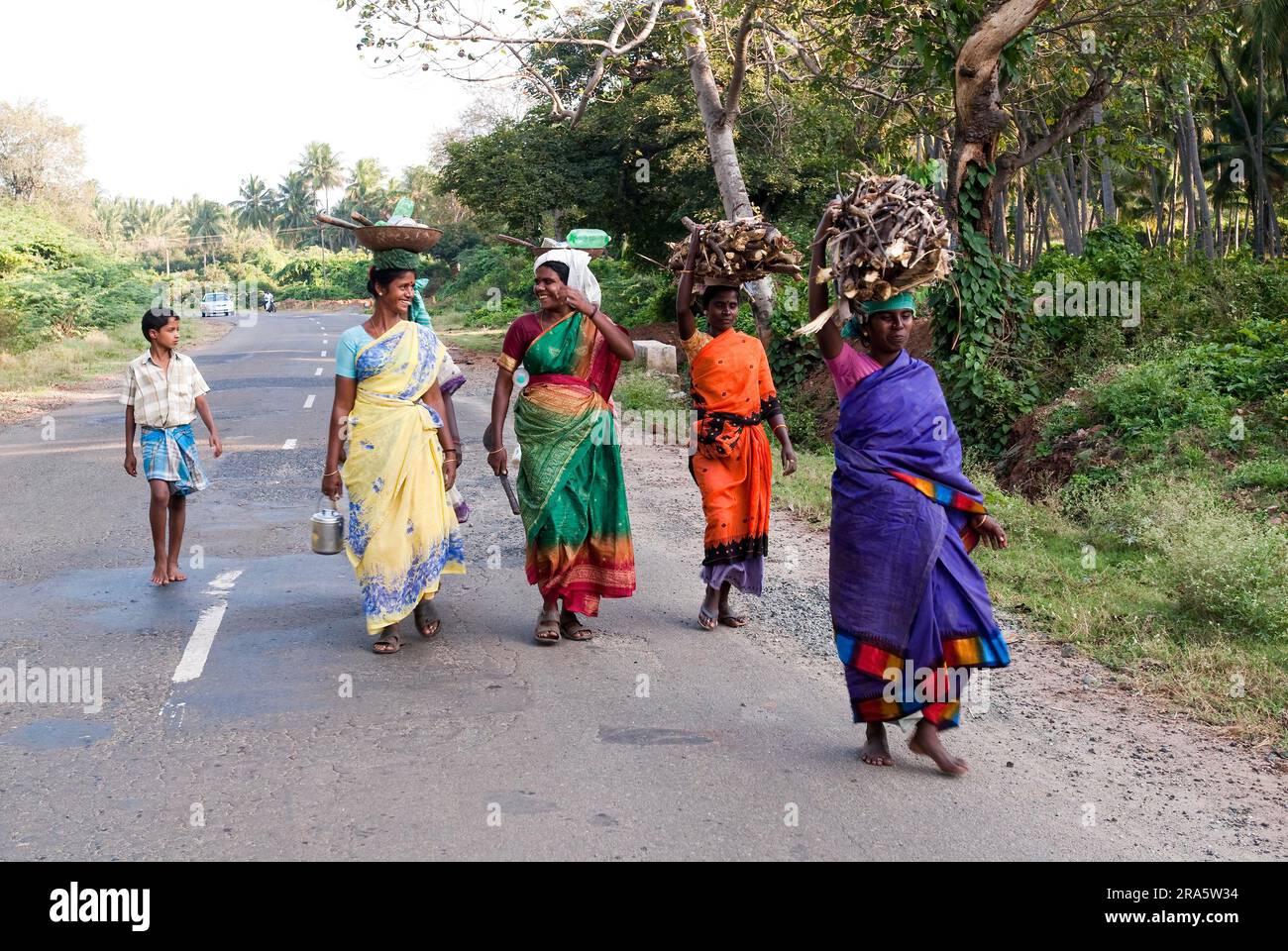 Village woman coolies on their way to work place by walk, Tamil Nadu, India, Asia Stock Photo