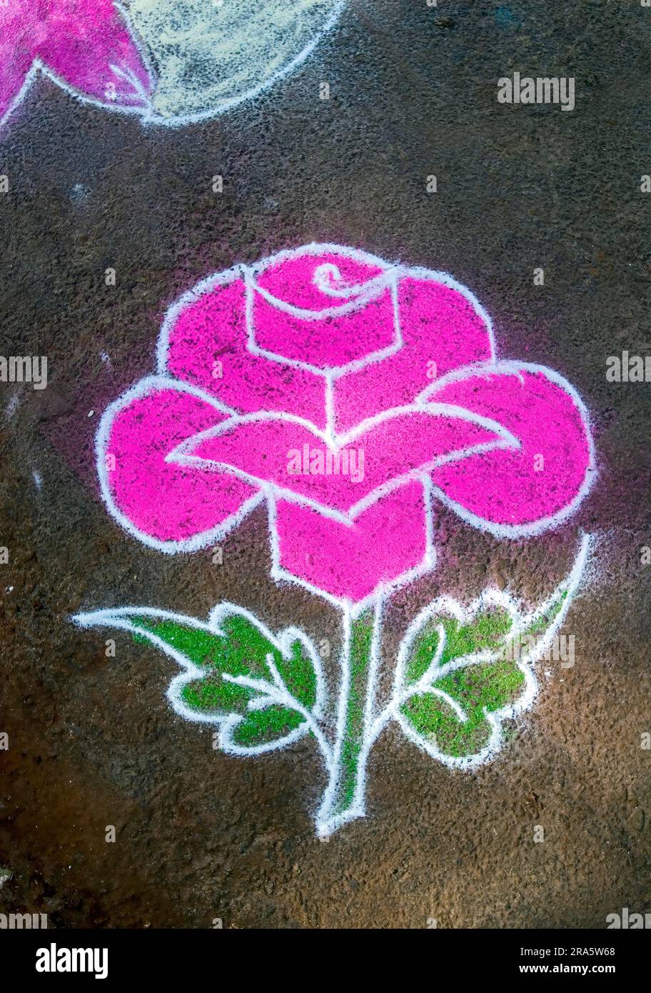 Kolam Rangoli during Pongal Festival in Tamil Nadu, South India, India
