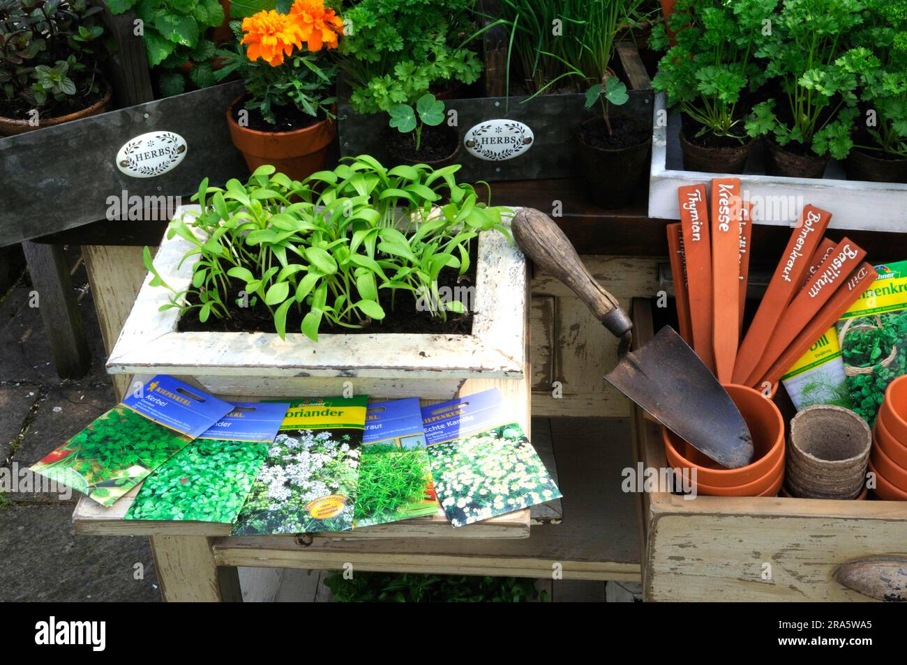 Young plants plant breeding hi-res stock photography and images - Alamy