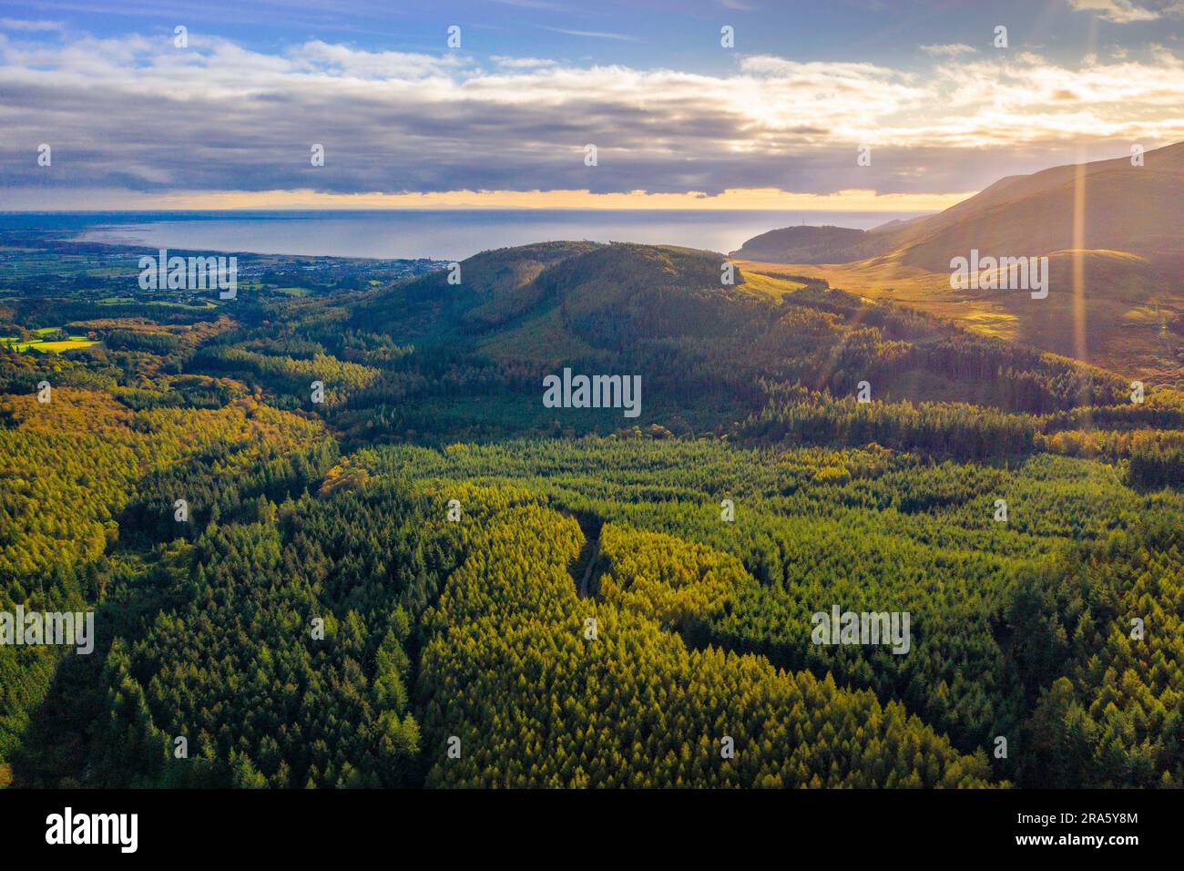 Aerial of Tollymore Forest Park, Newcastle, County Down, Northern Ireland Stock Photo