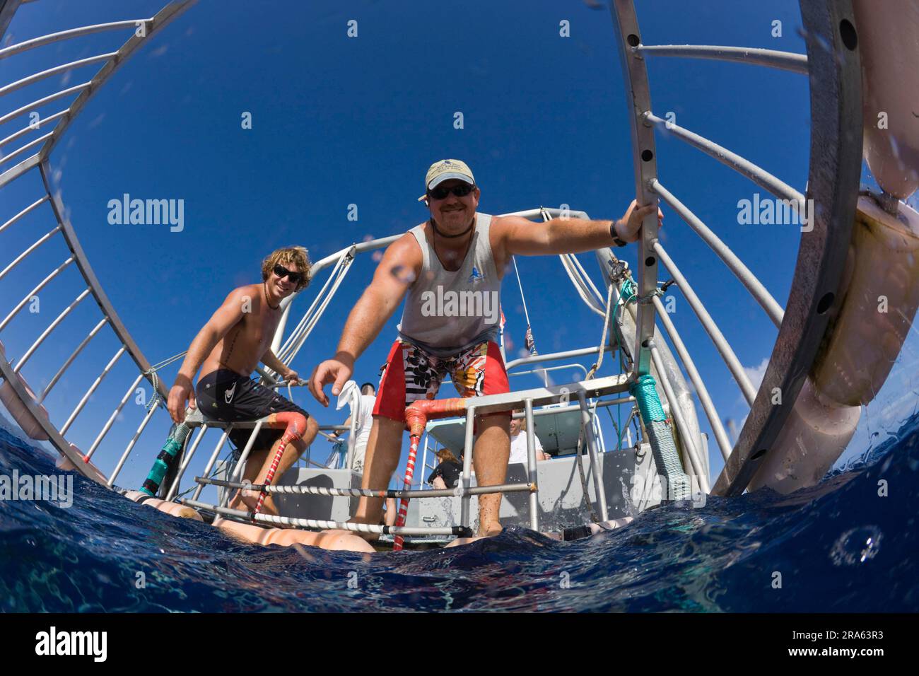 Men on boat, view from cage, cage diving with sharks, Oahu, Hawaii, O