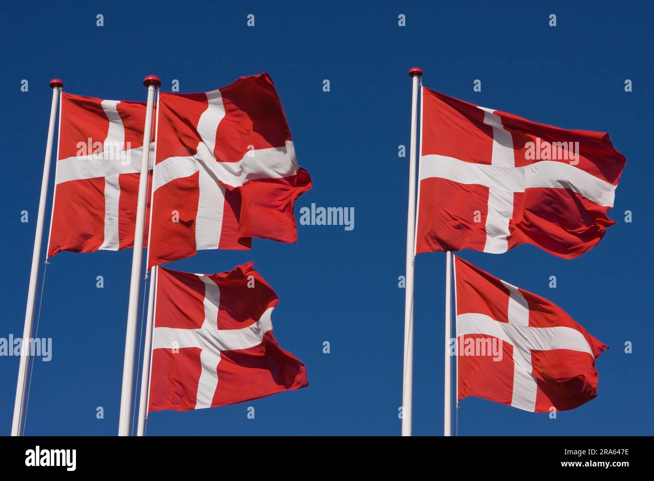 Danish national flags, Jesperhus Blomsterpark, flower and leisure park, Mors Island, Jutland, flower park, Denmark Stock Photo