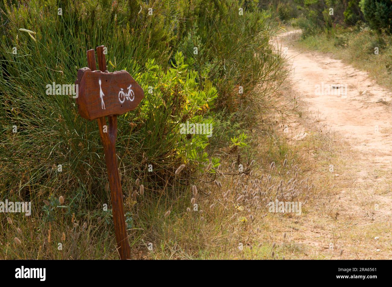 Signpost, Rt, Hiking trail, Cape Kamenjak nature Park, Istria, Croatia ...