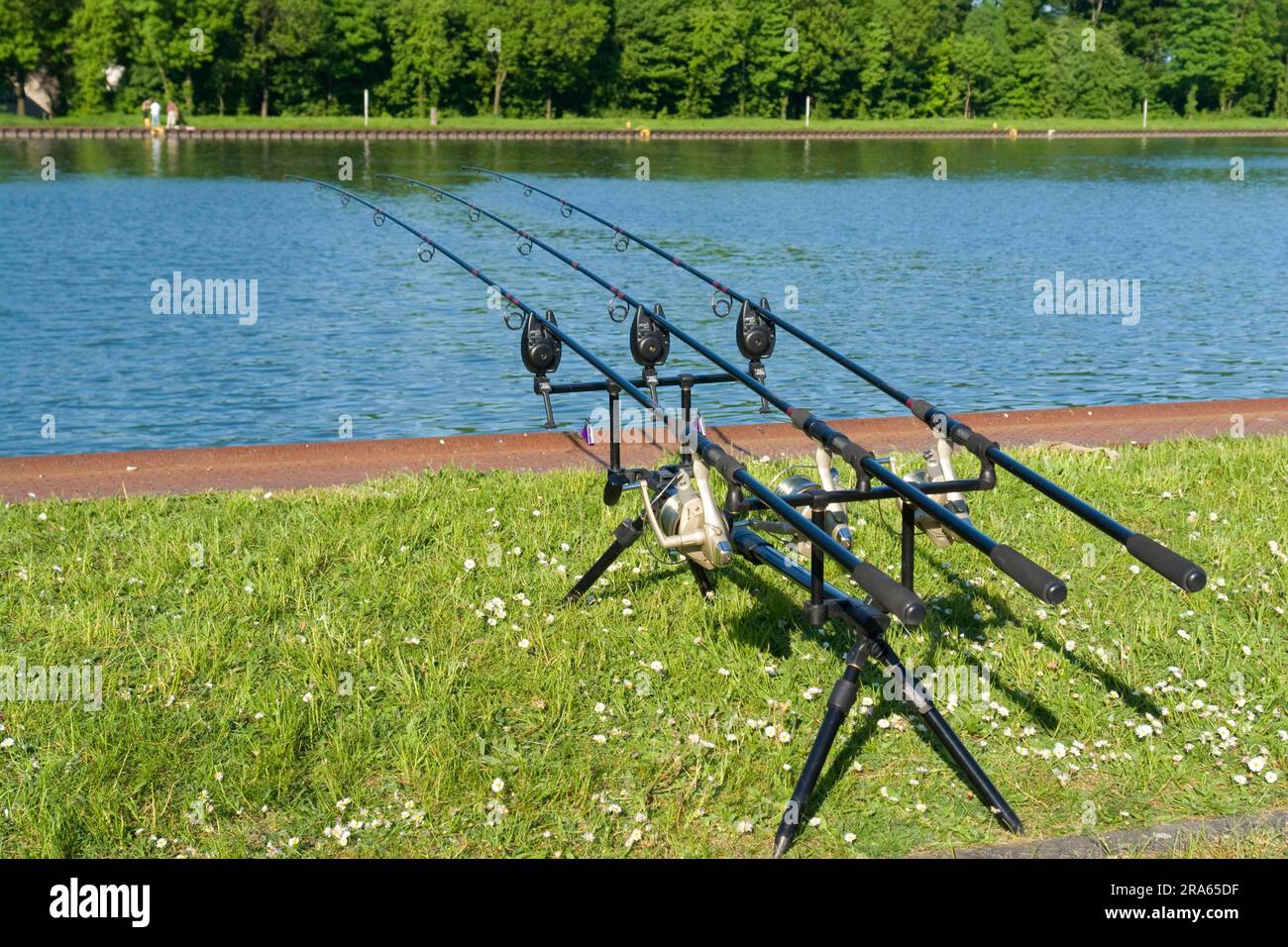 Fishing rods on the Dortmund-Ems Canal, rod, fishing, Castrop