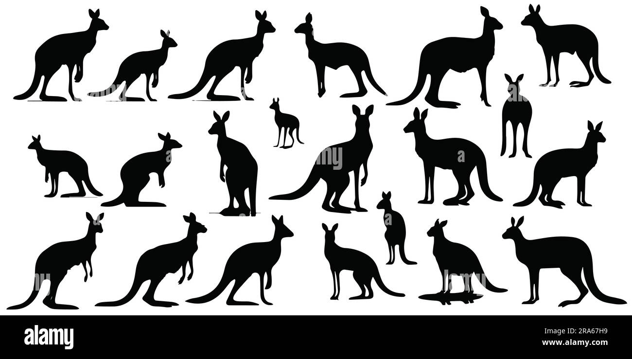 A set of silhouette kangaroo vector illustration Stock Vector