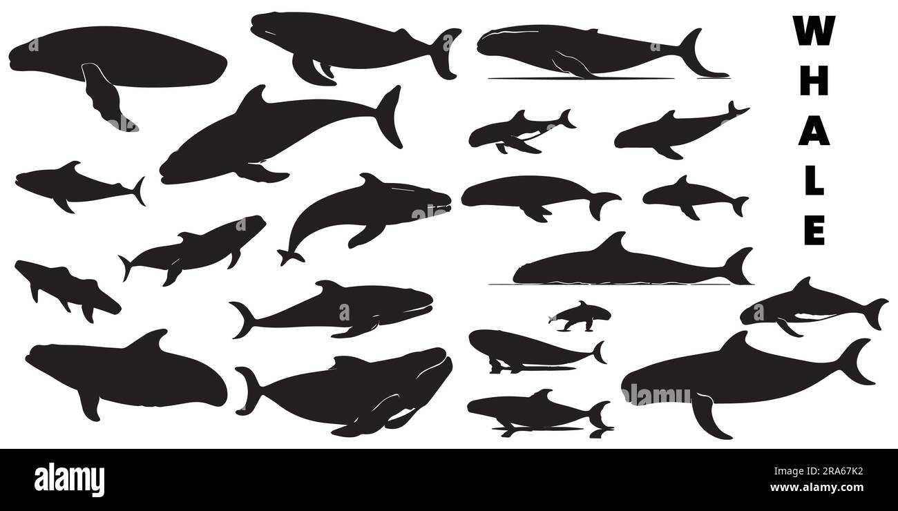 A set silhouette whale vector illustration Stock Vector