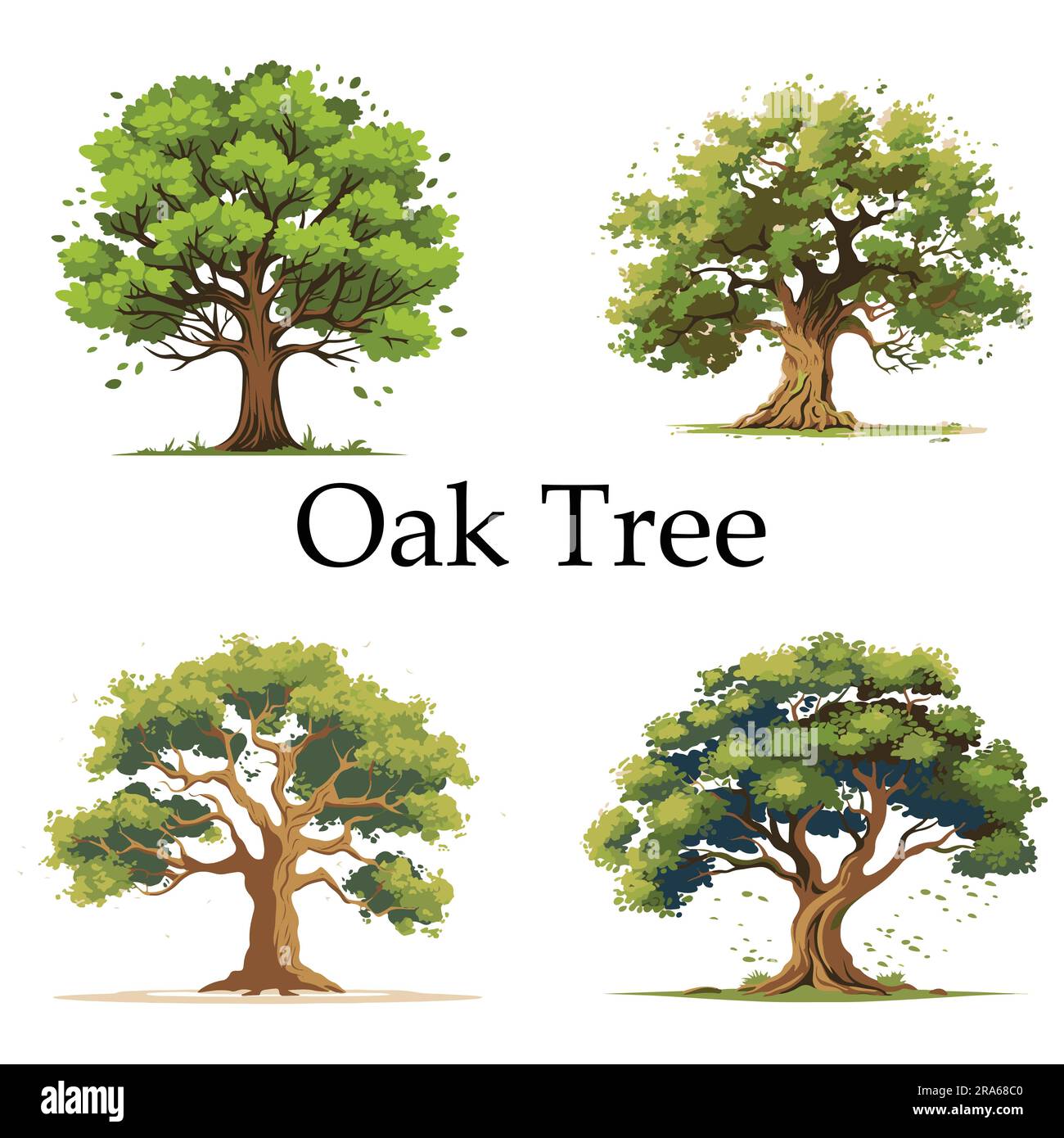 Flat Oak Tree vector illustration design Stock Vector
