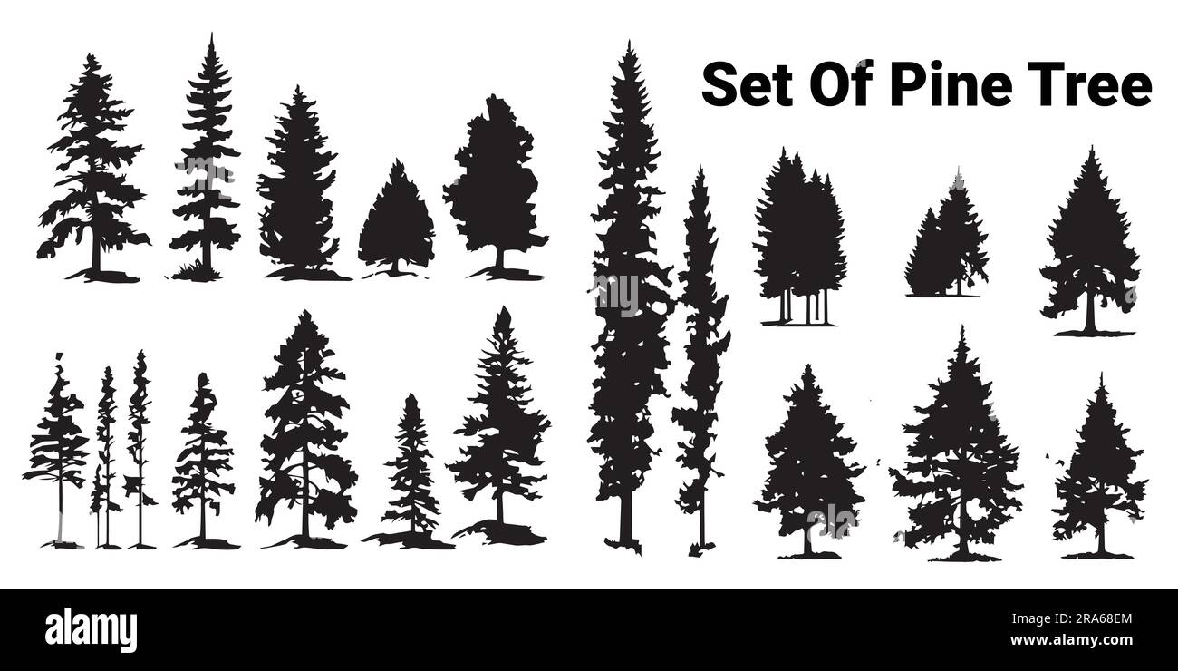 A set of Silhouette Pine tree vector illustration Stock Vector