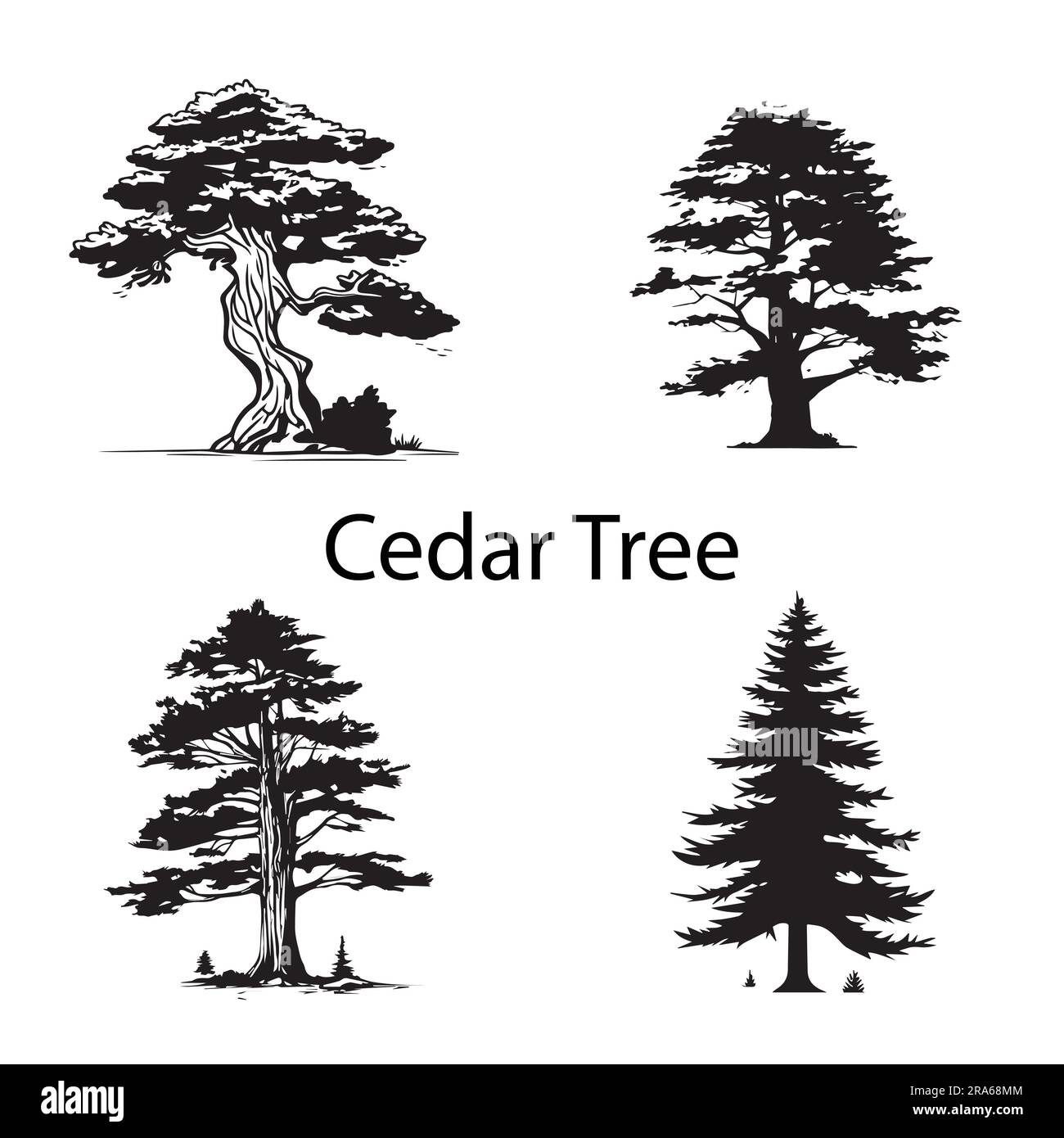 A set of silhouette Cedar tree vector illustration Stock Vector