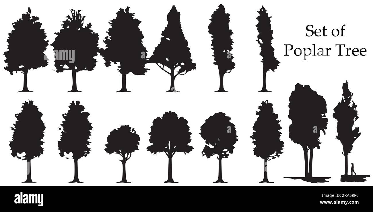 A set of silhouette Poplar Tree Vector illustration Stock Vector