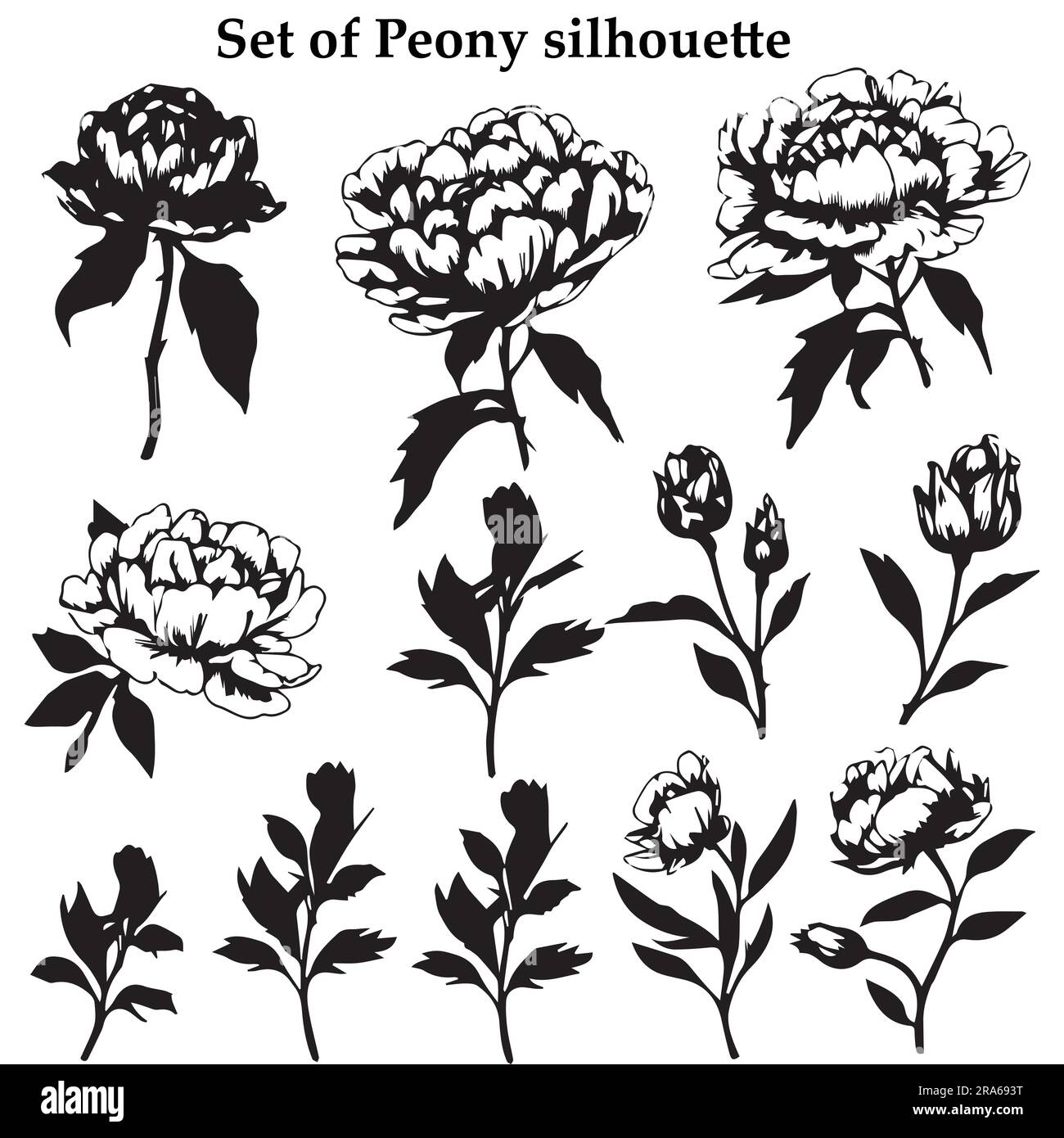 A set of peony silhouette vector illustration Stock Vector