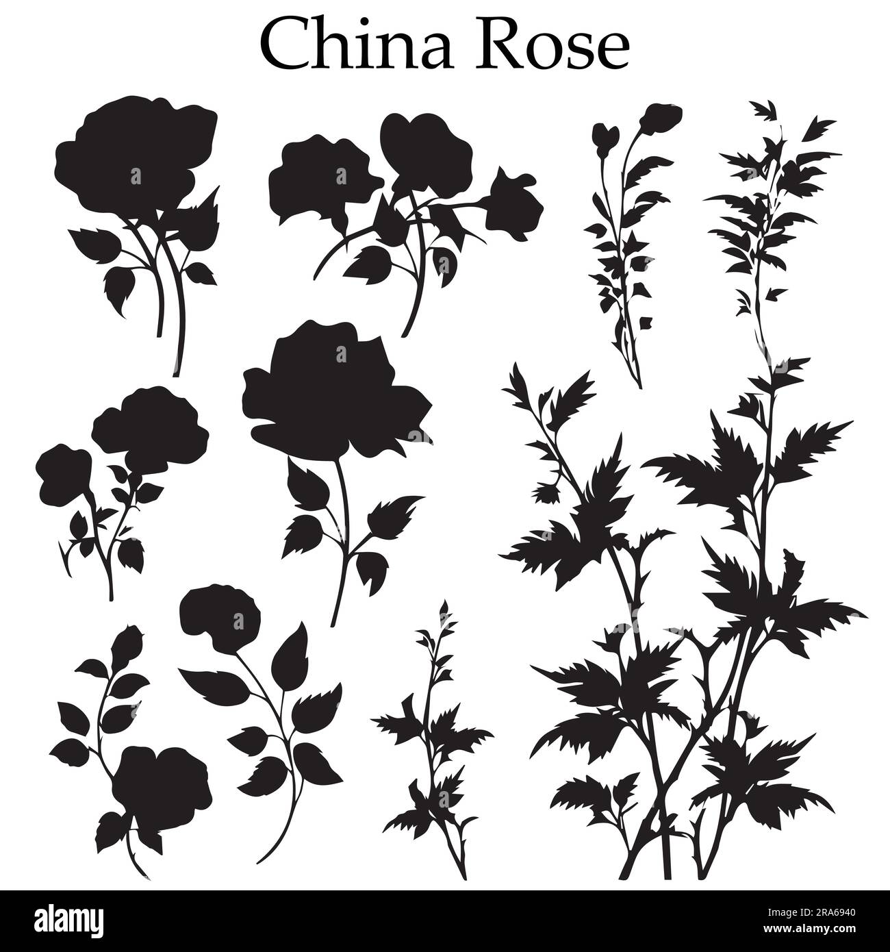 A set of black China Rose flower vector collection Stock Vector