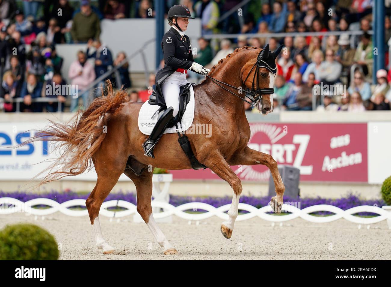 Aachen, Germany. 01st July, 2023. Equestrian sport, dressage CHIO