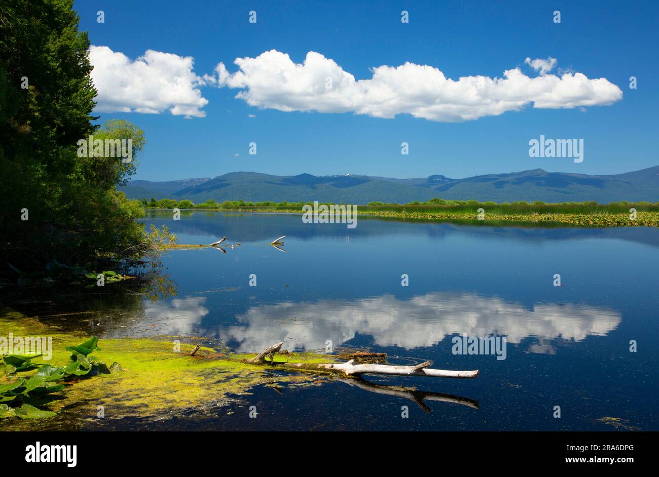 Wood River wetlands, Wood River Wetland, Klamath Falls District Bureau