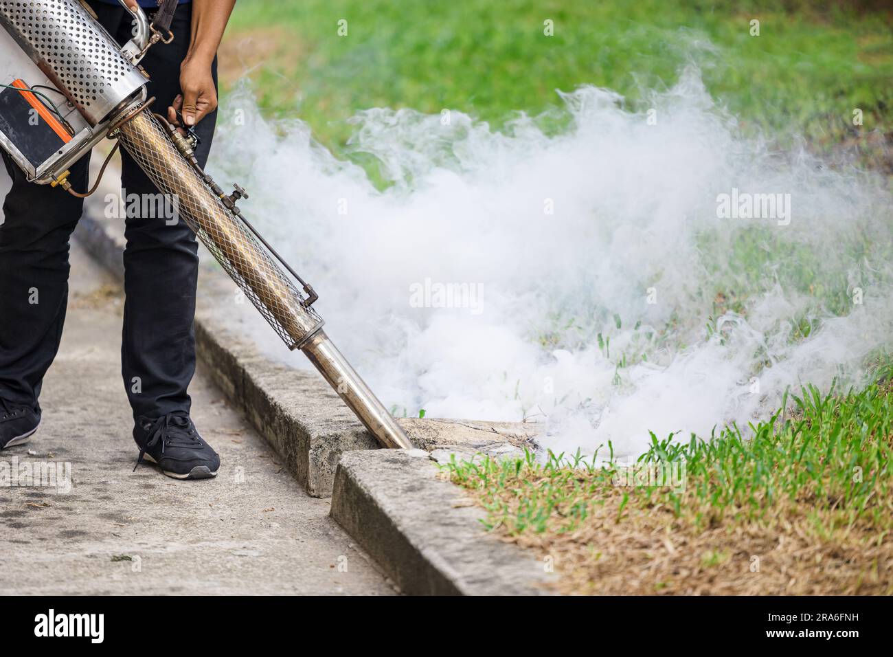 pest control staff spray chemical smoke eliminate mosquito larvae rats