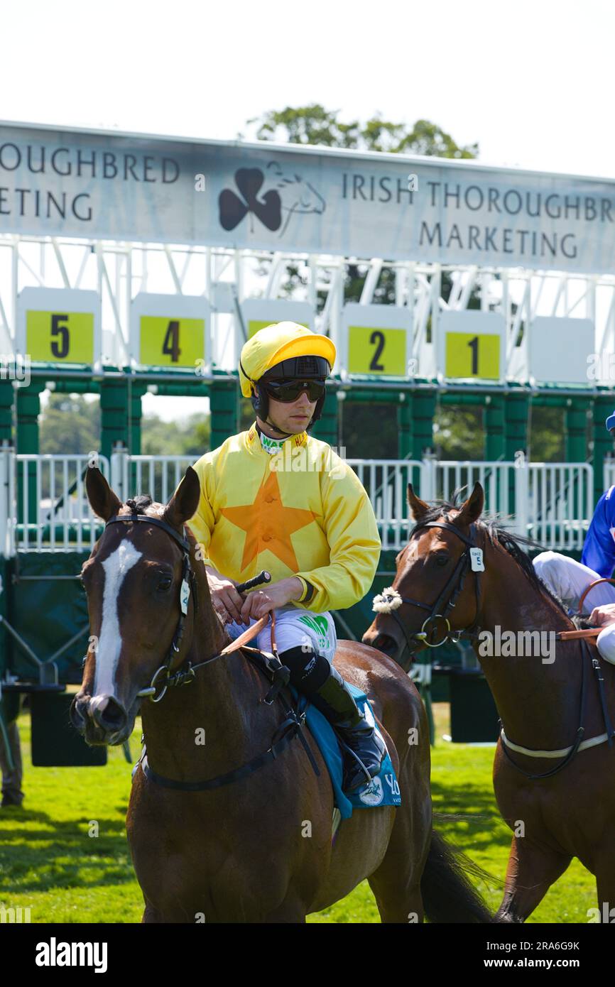 Jockey Jason Hart on Evoluir at York Races Stock Photo