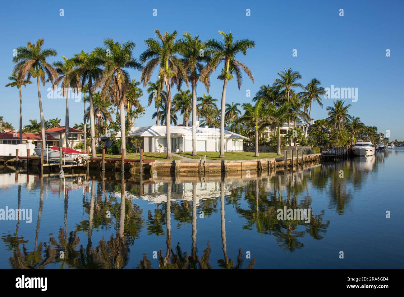 Fort Lauderdale, Florida, USA. View across tranquil waterway in the Nurmi Isles district, early morning, royal palms reflected in still water. Stock Photo