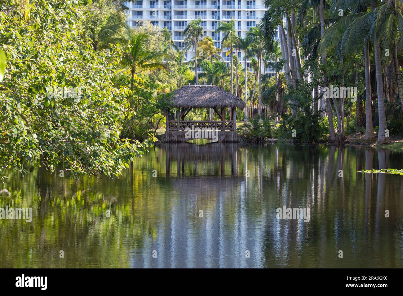 Fort Lauderdale, Florida, USA. View across tranquil Bonnet House Slough, a lake in the gardens of historic Bonnet House, aka the Bartlett Estate. Stock Photo