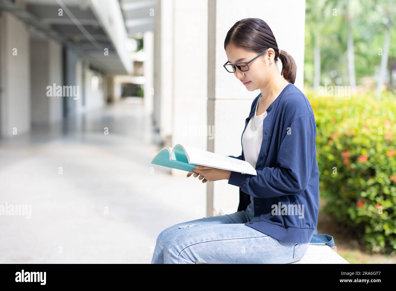 Smart woman sitting reading a book use free time for learning education bookworm nerd in university. Stock Photo