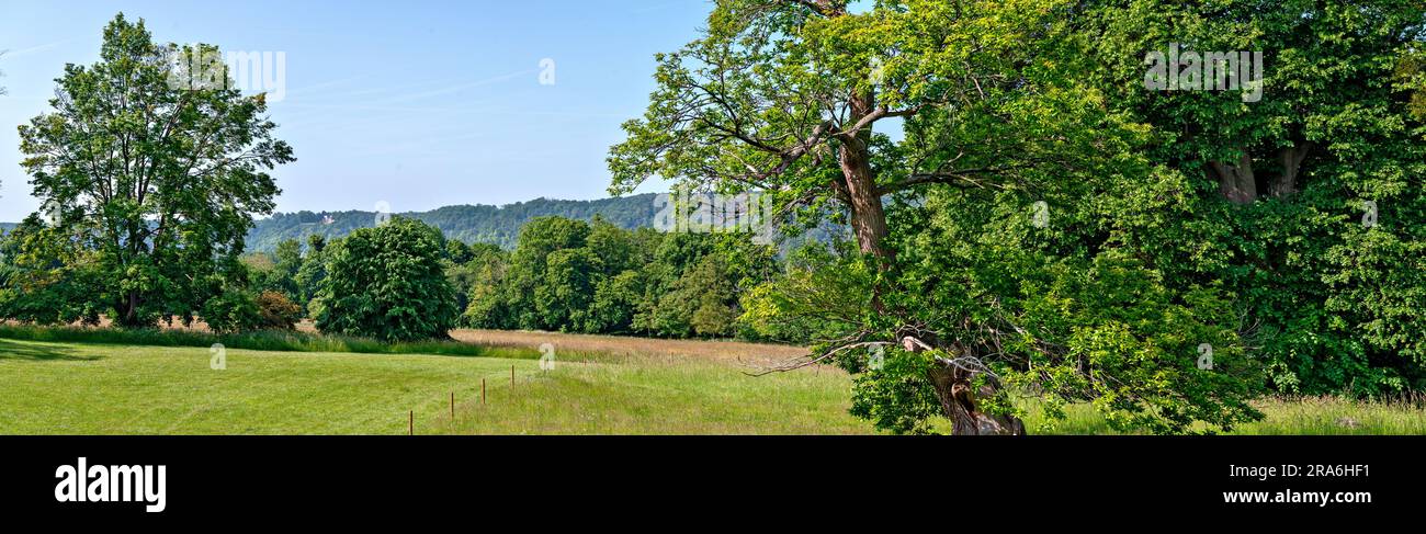 landscape near the ruin of the former Benedictine abbey Jumieges  in the Normandy, France Stock Photo