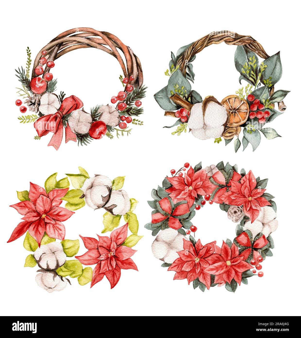 Christmas wreath with fir branches and red flowers. Watercolor hand ...