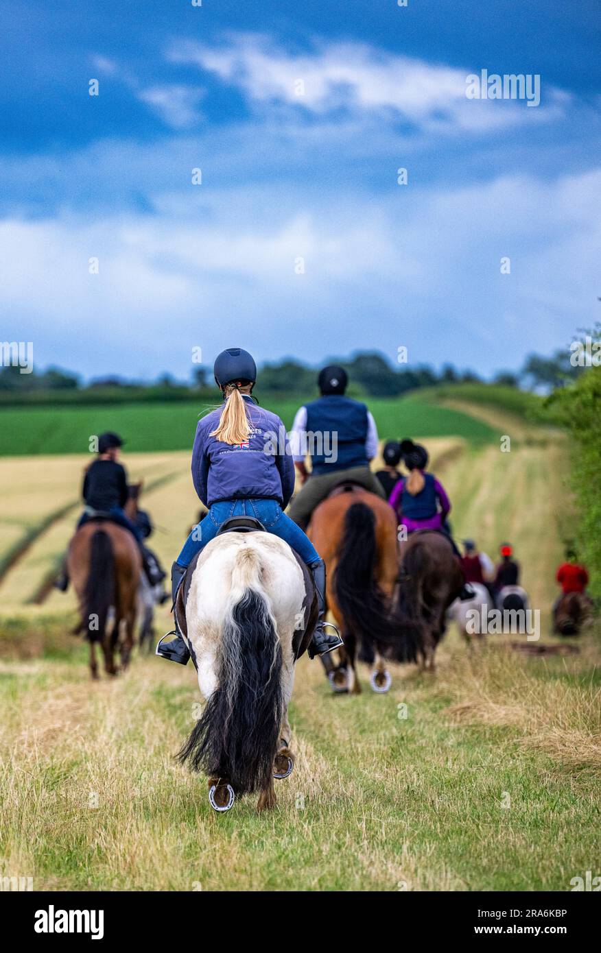 Horse riding cornfield hires stock photography and images Alamy
