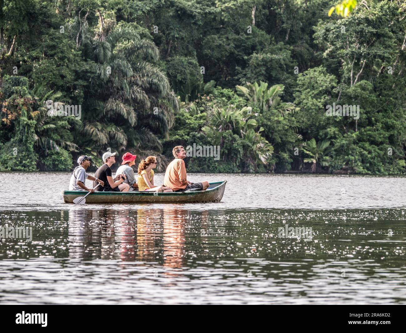 Tourists in a canoe with a tour guide paddling in a waterway near Tortuguero, Costa Rica. Stock Photo