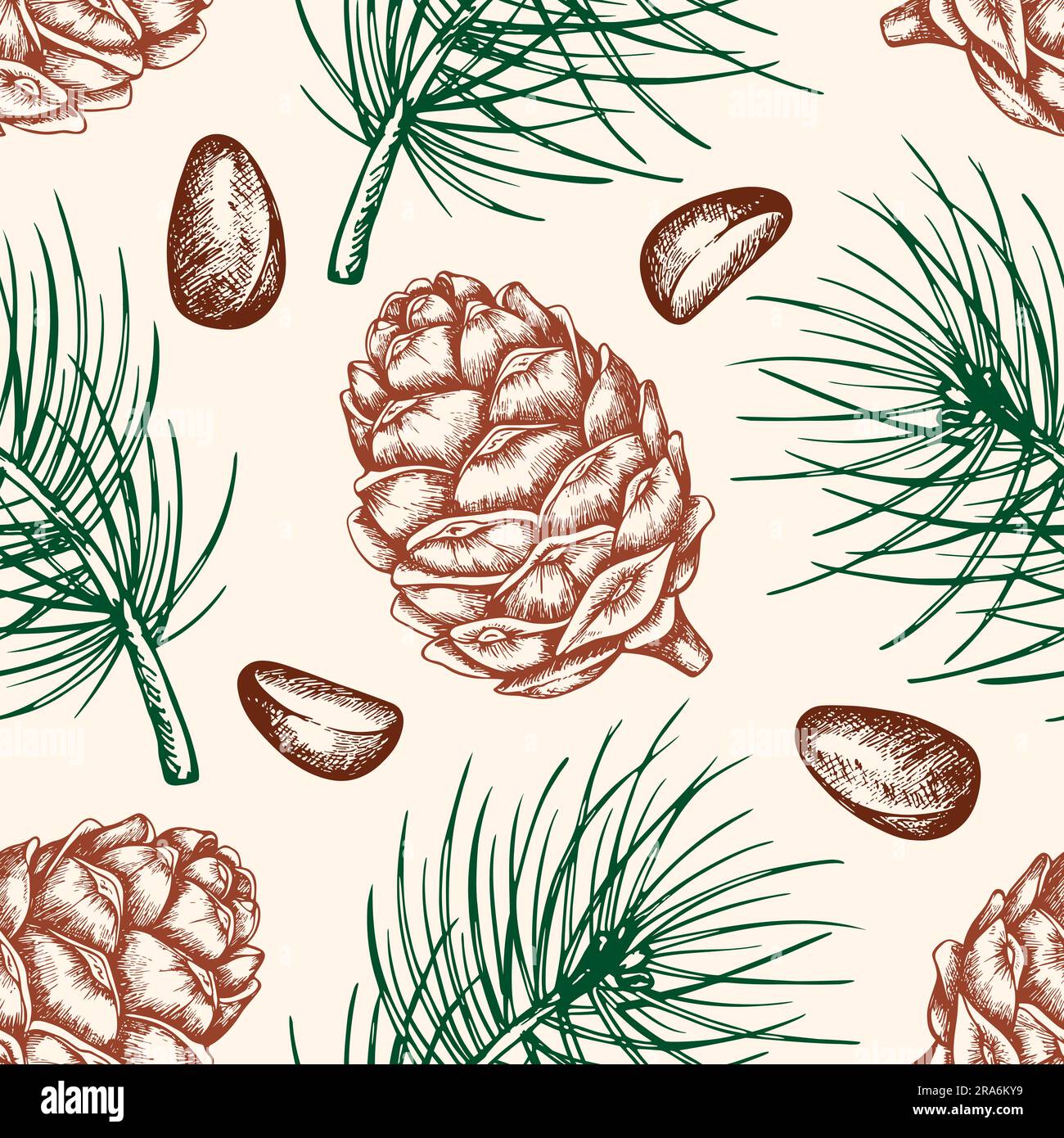 Vintage hand drawn seamless pattern with pine cone and nuts Stock Photo ...
