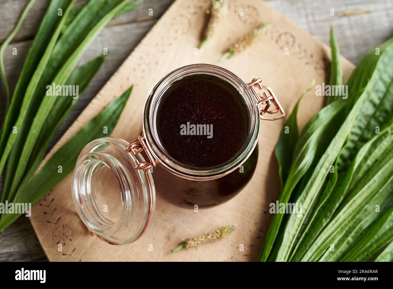 A glass jar of ribwort plantain syrup for cough with fresh leaves, top