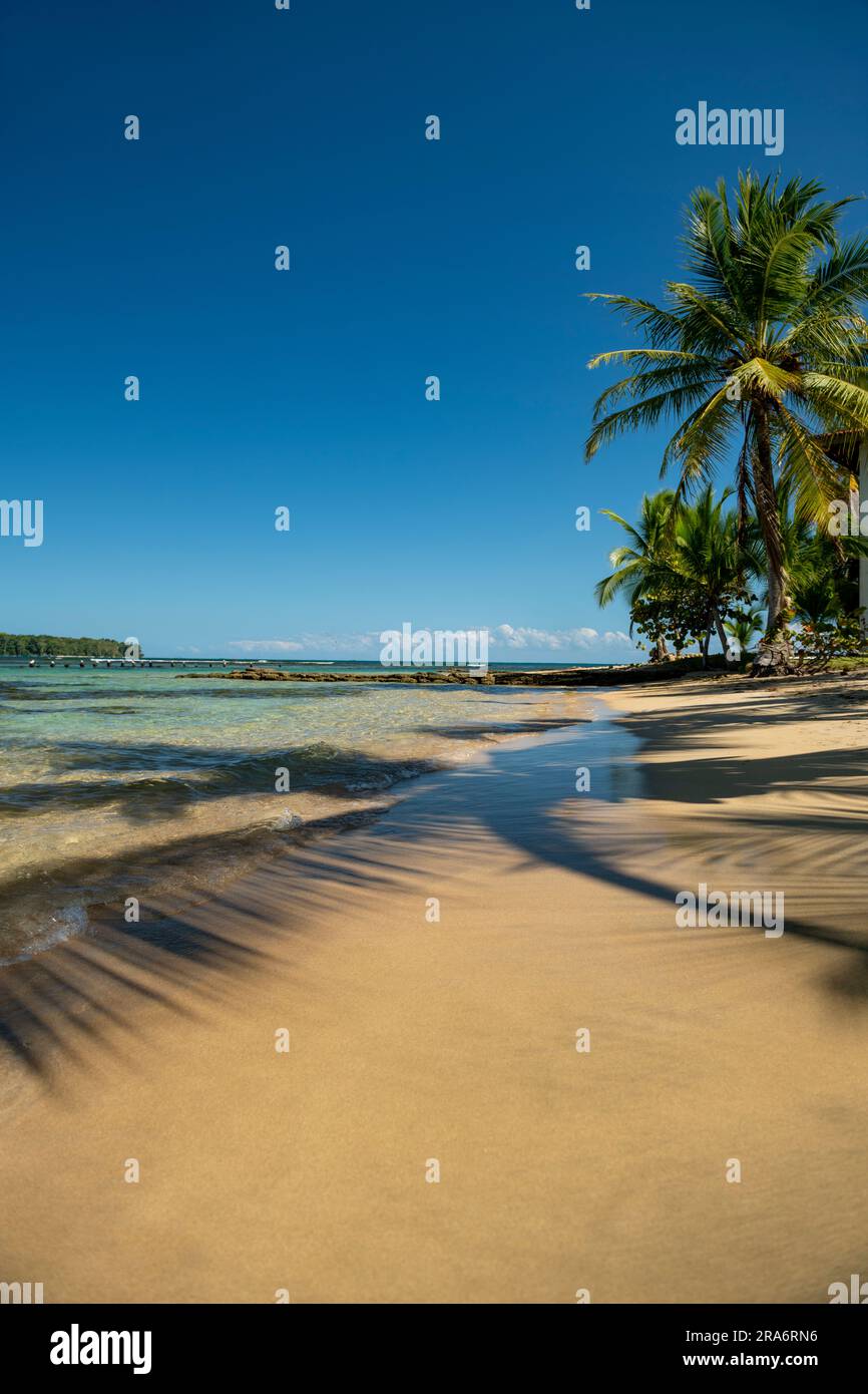 Beach at  Boca del Drago, Bocas del Toro island, Panama - stock photo Stock Photo