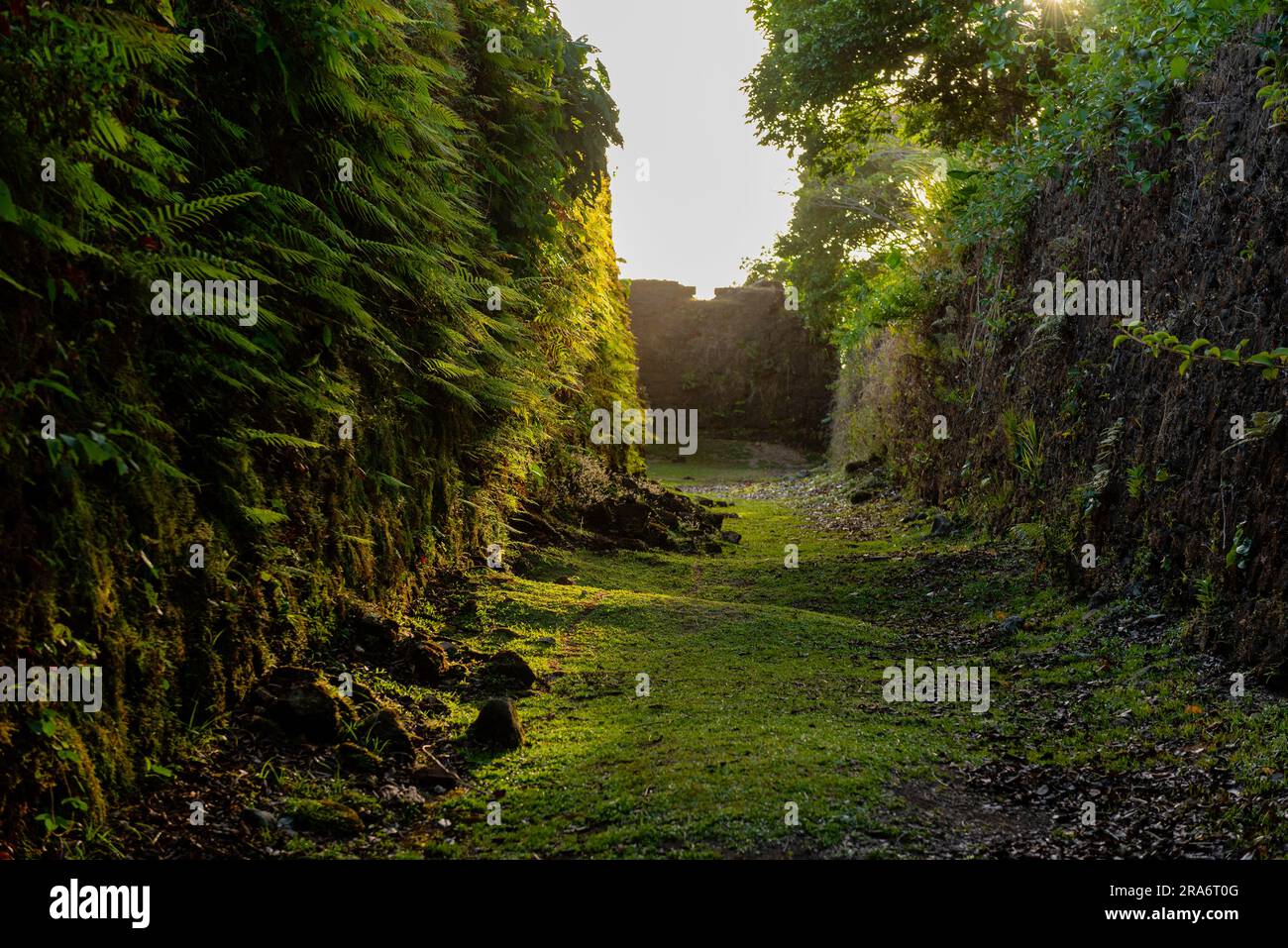Old walls of San Lorenzo spanish fort, Colon, Panama, Central America Stock Photo