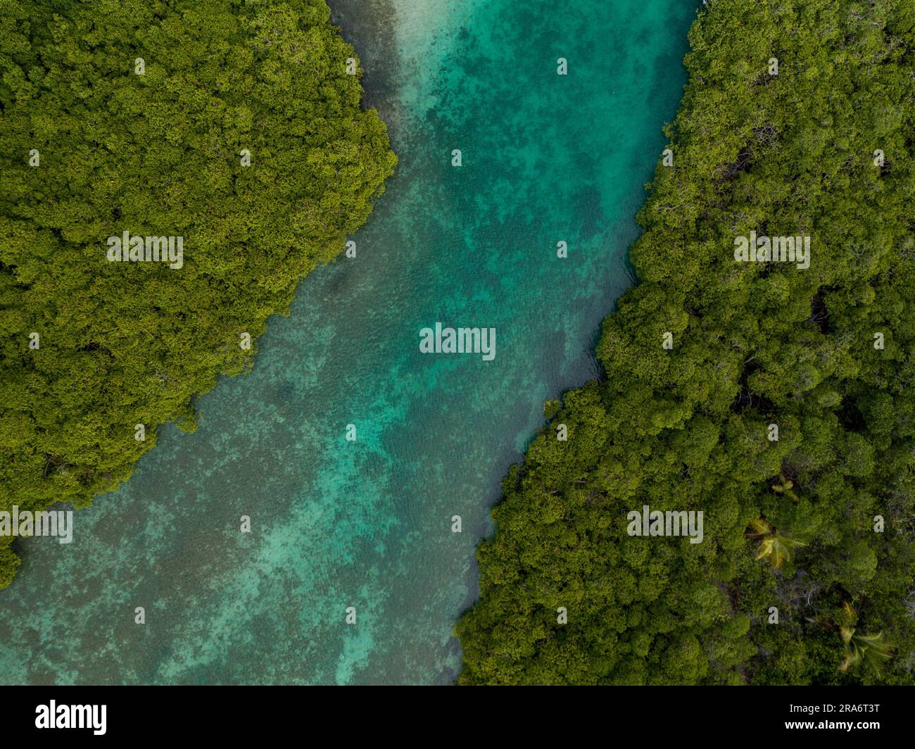 Aerial photograph of mangroves and sandbars in the Caribbean sea, Portobelo, Panama - stock photo Stock Photo