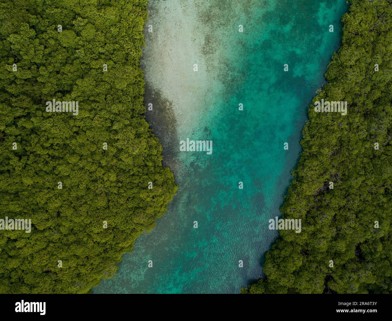Aerial photograph of mangroves and sandbars in the Caribbean sea, Portobelo, Panama - stock photo Stock Photo