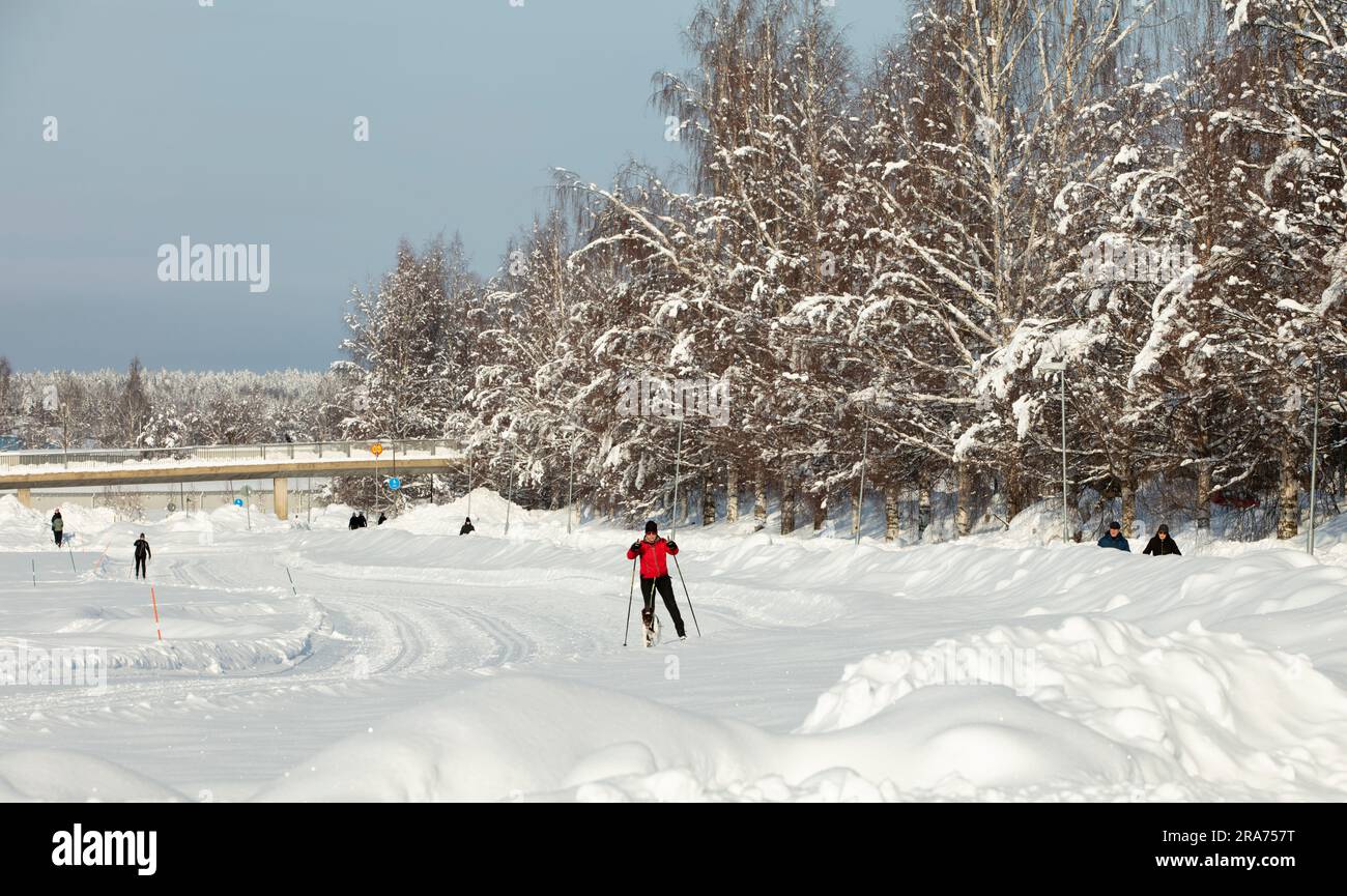 UMEA, SWEDEN ON FEBRUARY 22, 2023. Unidentified skiers, amateurs, and exercisers in a park. Bright sunshine, cold. Editorial use Stock Photo