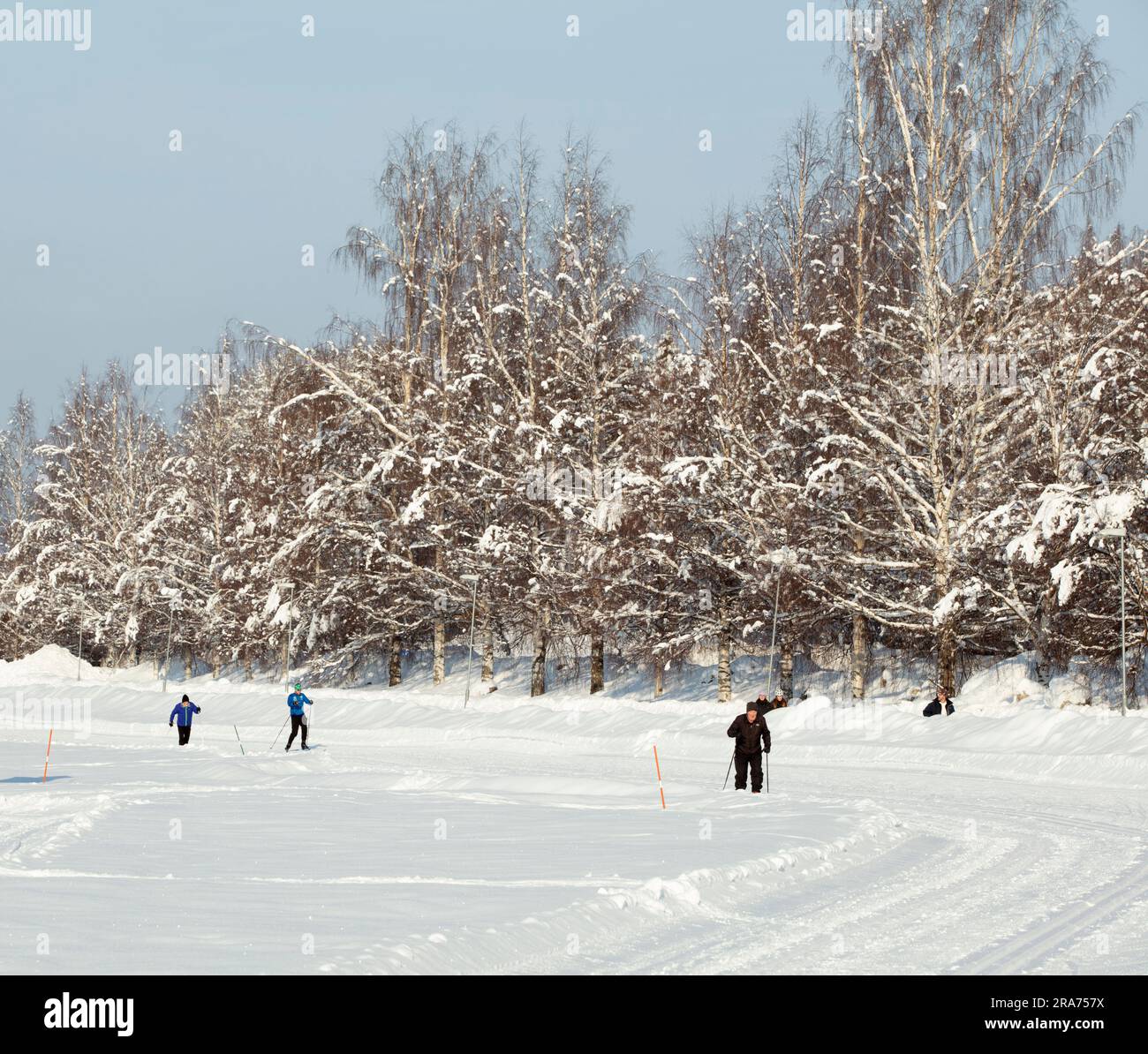 UMEA, SWEDEN ON FEBRUARY 22, 2023. Unidentified skiers, amateurs, and exercisers in a park. Bright sunshine, cold. Editorial use Stock Photo