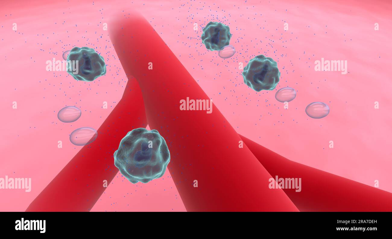 Anaphylaxis, Histamine Release and Vascular Edema. 3D rendering Stock Photo Alamy