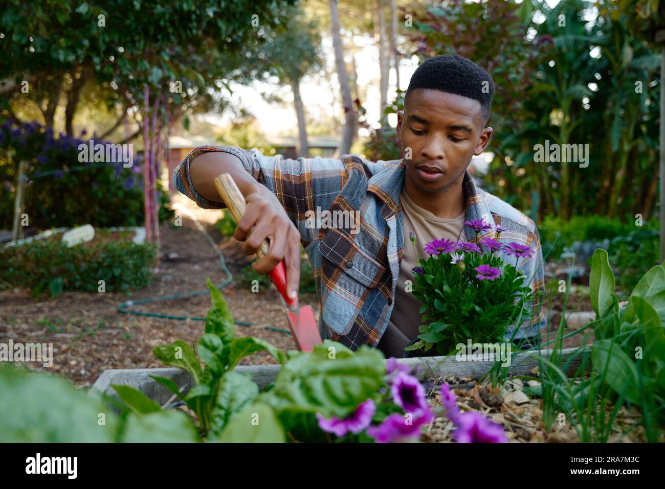 Man using garden spade hi-res stock photography and images - Alamy