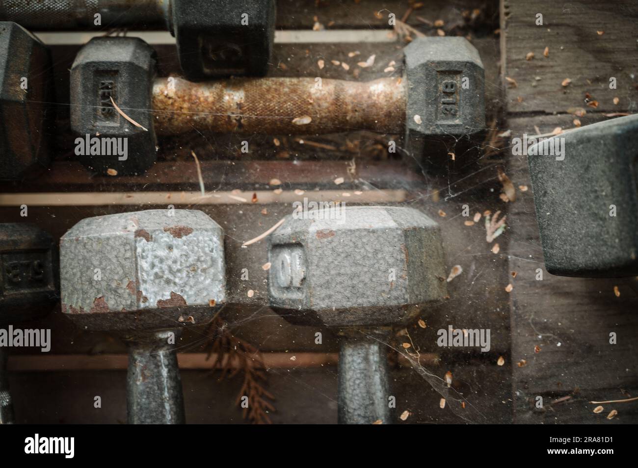 Rusty cobweb covered weight lifting equipment.  Weights and dumb bells and dumbbells abandoned, ignored, and covered in rust. Stock Photo