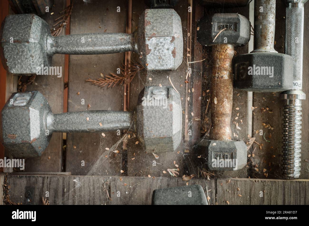 Whistler BC, Canada - June 23rd, 2023:  Rusty cobweb covered weight lifting equipment.  Weights and dumb bells and dumbbells abandoned, ignored, and c Stock Photo