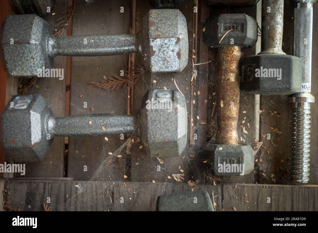 Whistler BC, Canada - June 23rd, 2023:  Rusty cobweb covered weight lifting equipment.  Weights and dumb bells and dumbbells abandoned, ignored, and c Stock Photo