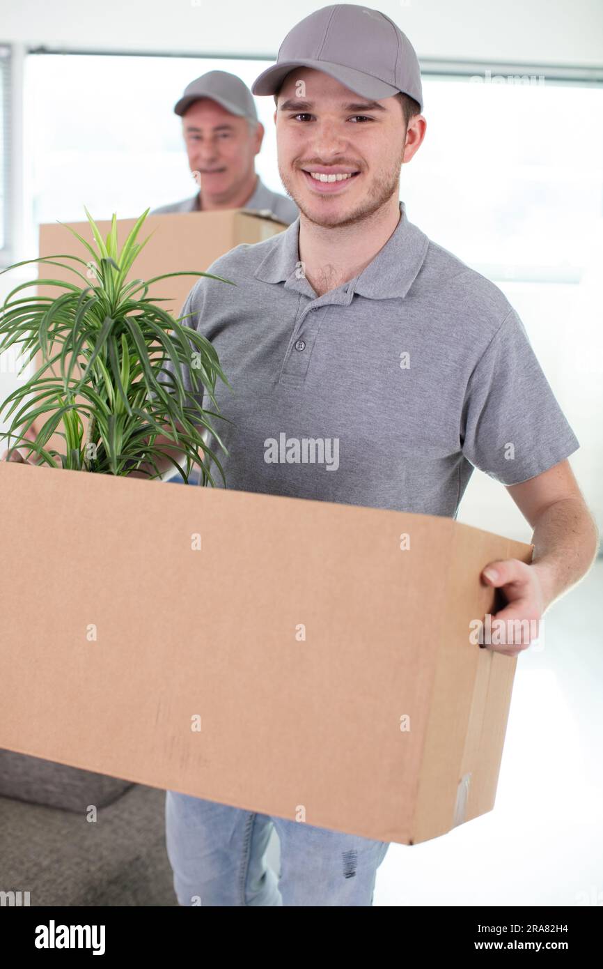 removals men carry cardboard boxes Stock Photo