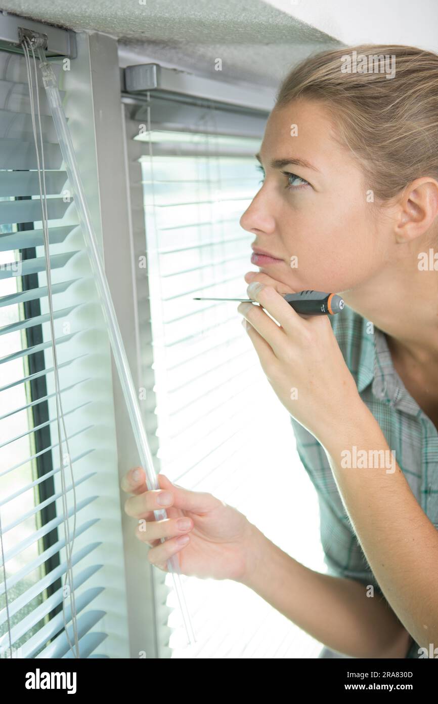 woman installing blinds with screwdriver Stock Photo