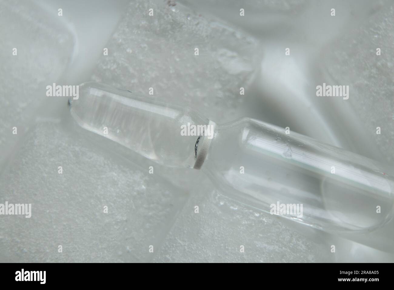 vaccine ampoule lies in ice on a white background close-up, vaccination Stock Photo