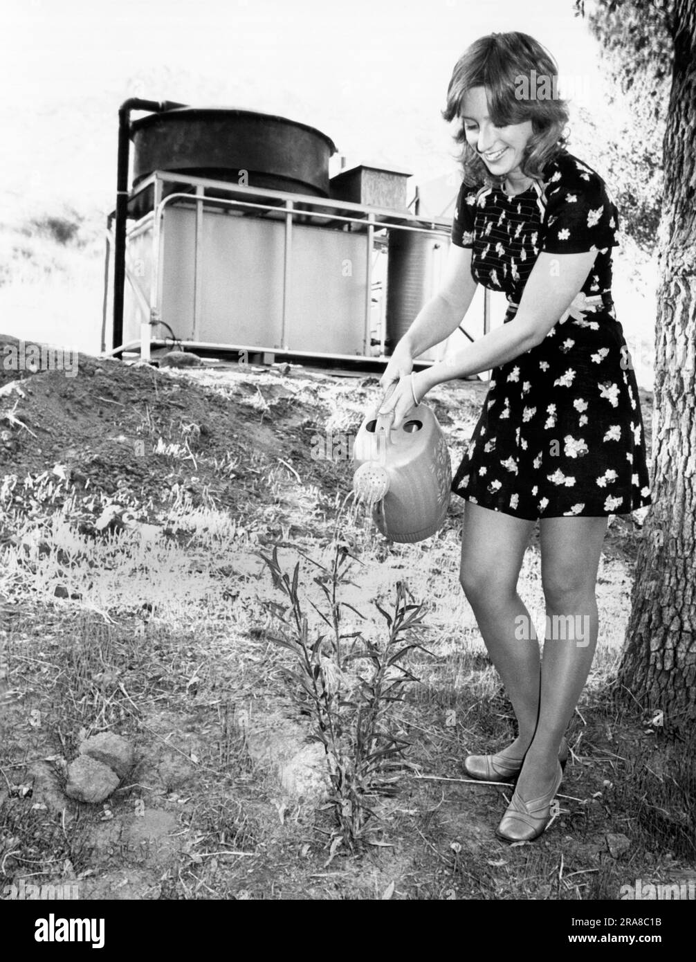 San Diego, California:  1974 A woman waters a seedling with raw sewage water that was converted to clean irrigation water by using nataural gases from the atmosphere instead of harmful chemicals. The process was developed by the Cubic Corporation which created the Hydrocube in the background. Stock Photo