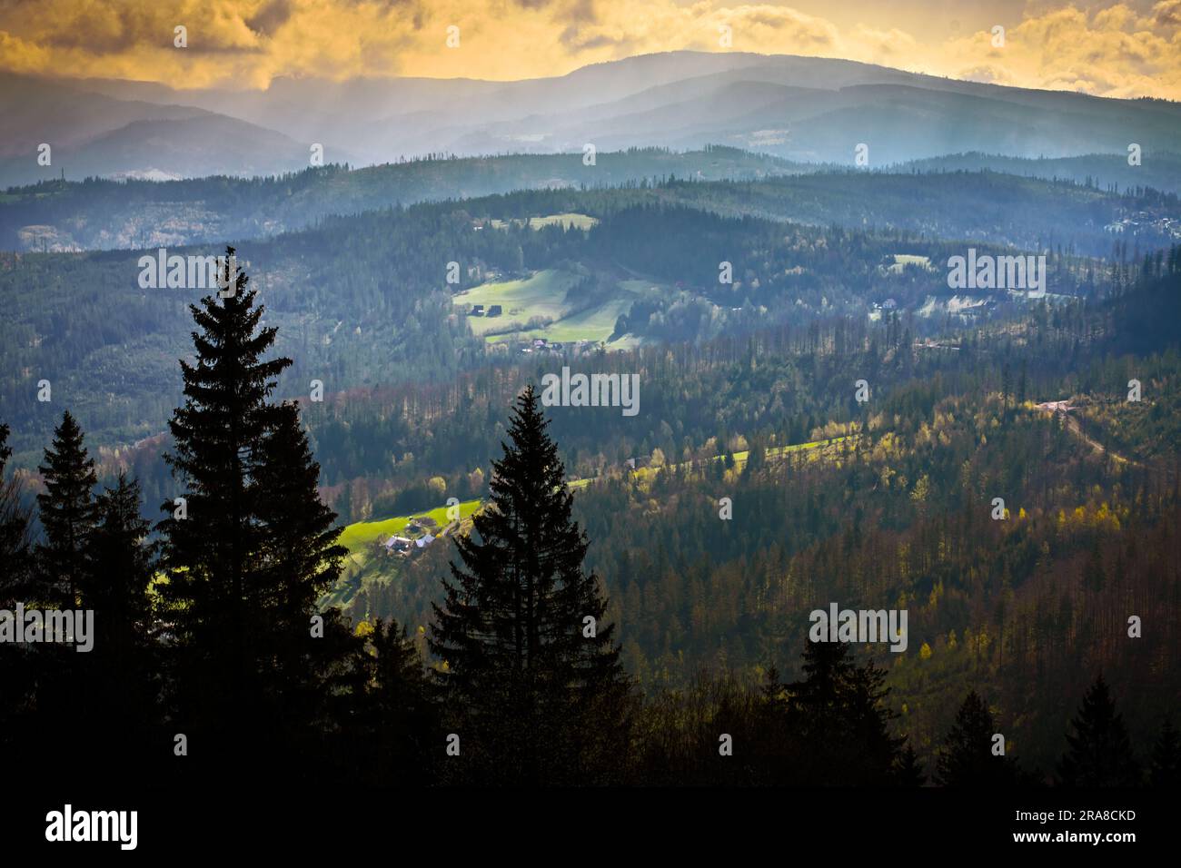 Forested Beskid Mountains on the Main Beskid Trail, Silesian Voivodeship, Poland. Stock Photo