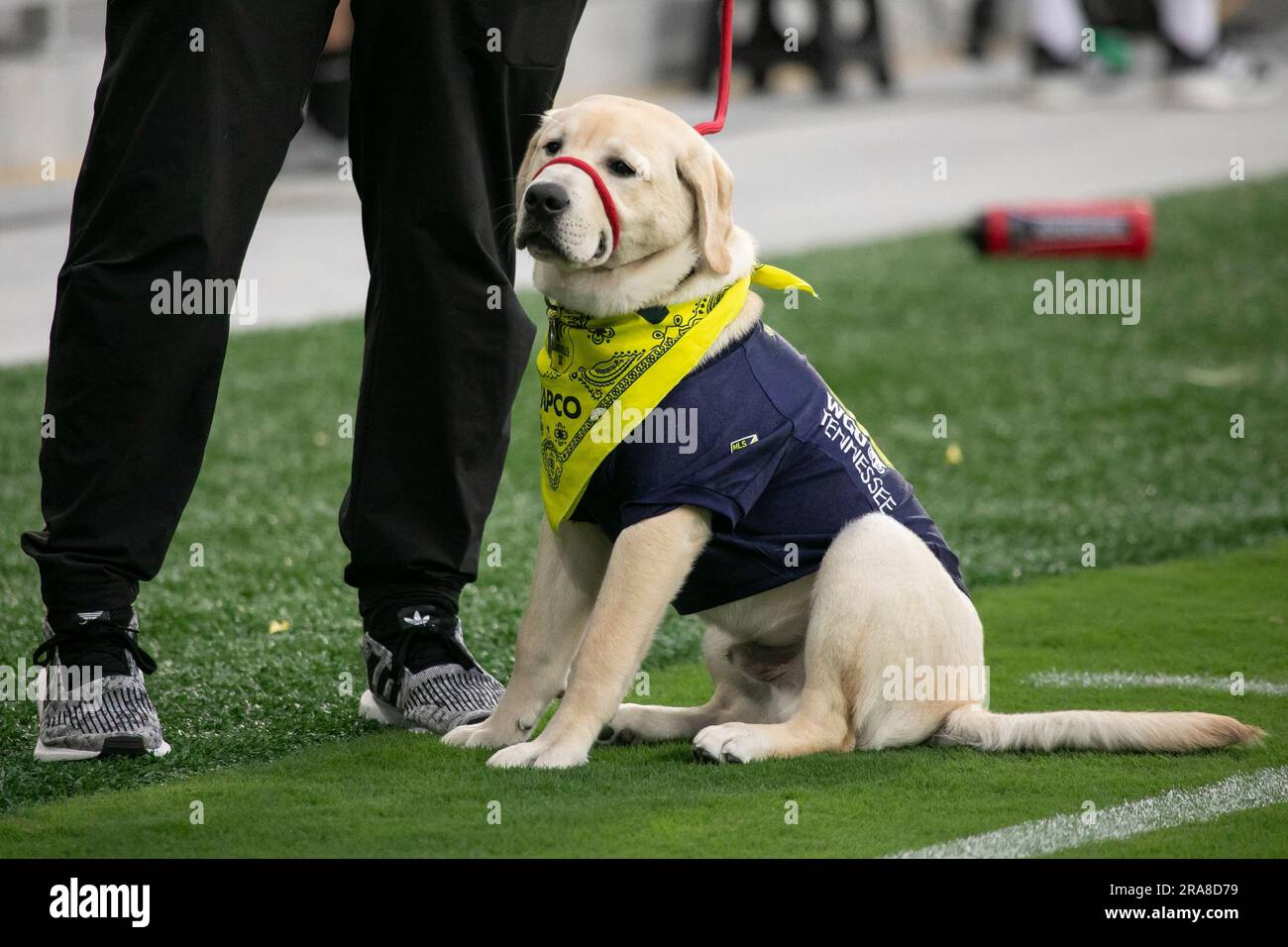 Phang - the Philadelphia Union mascot - sports mascots of the MLS Major  League Soccer Stock Photo - Alamy