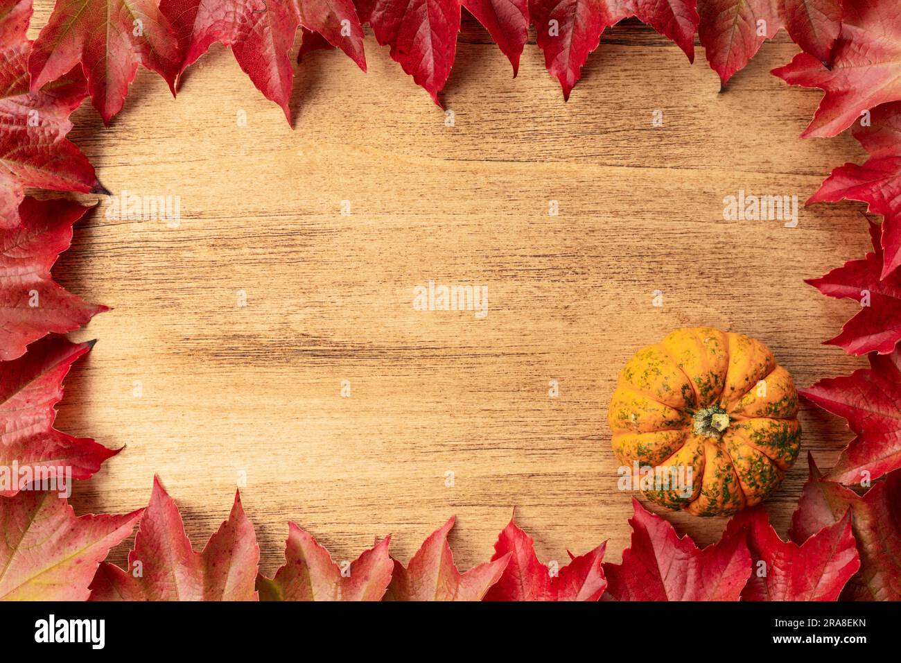 Thanksgiving day banner with pumpkins and autumn leaves with copy space ...