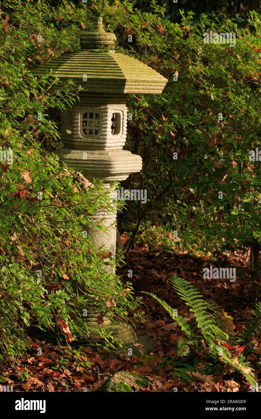 Stone lanterns are typical elements of Japanese gardens Stock Photo